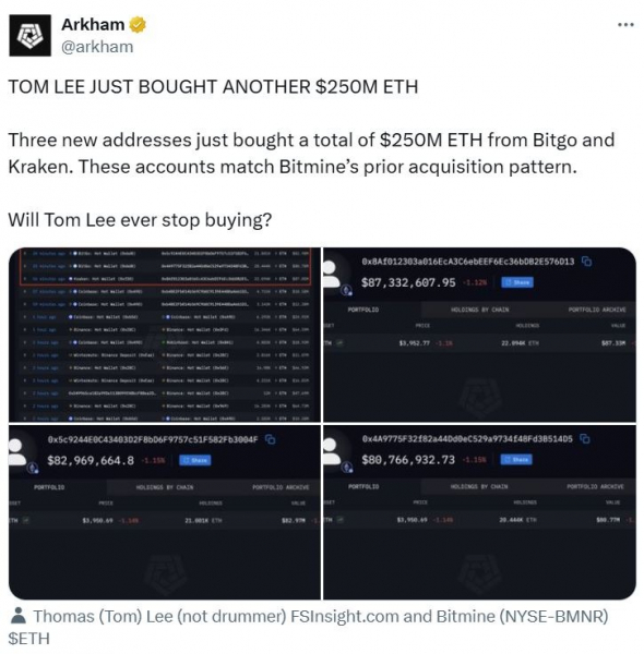Ли из BitMine говорит, что &laquo;ценовые колебания&raquo; эфира &mdash; это сигнал к покупке